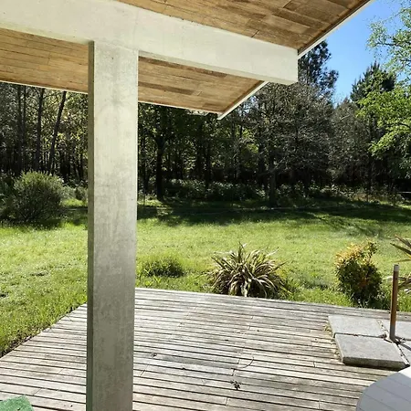 221-hourtin - 221- Charmante Maison Hourtinaise Avec Vue Imprenable Sur La Foret Pour 6 A 7 Personnes Mae-9103