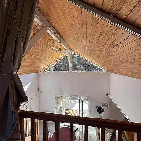 221-hourtin - 221- Charmante Maison Hourtinaise Avec Vue Imprenable Sur La Foret Pour 6 A 7 Personnes Mae-9103